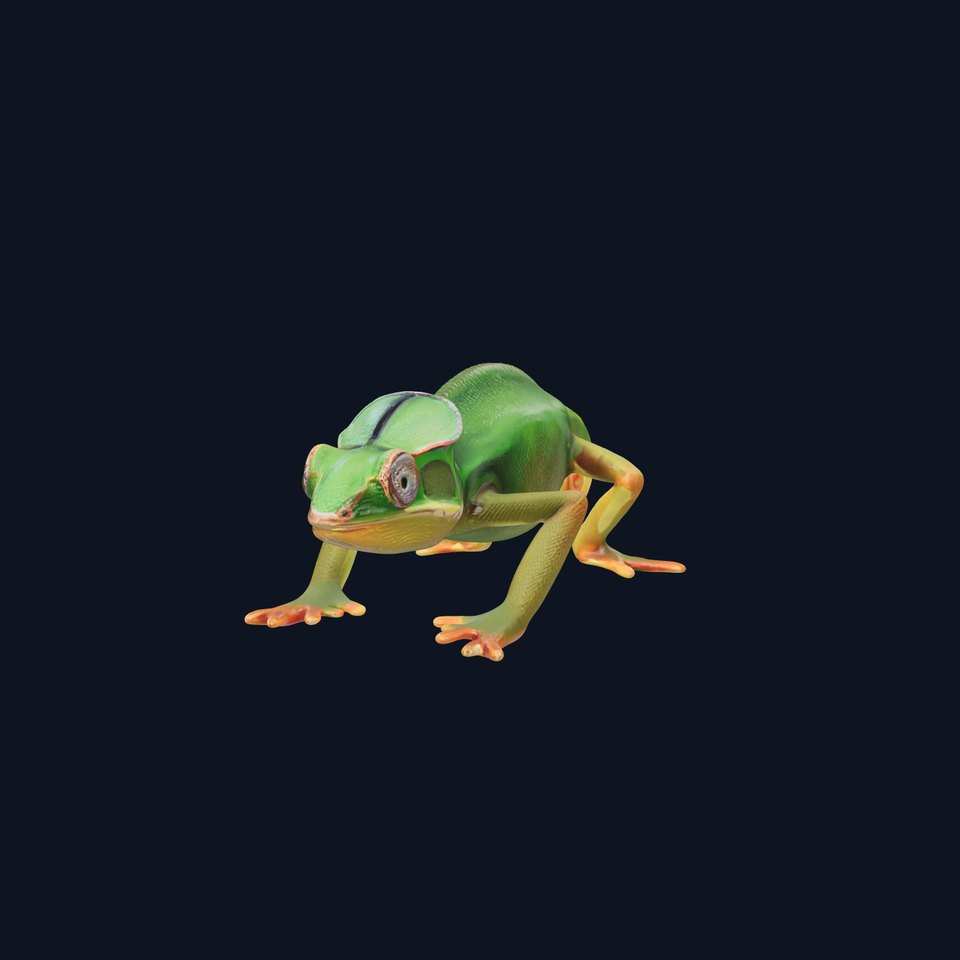 Chameleon Reptile Model Pack for Versatile D Use